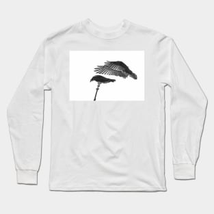 Osprey Landing Long Sleeve T-Shirt